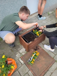 děti ze třídy D osázely truhlíky a vyzkoušely práci s rostlinami