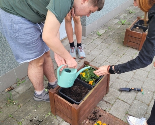 děti ze třídy D osázely truhlíky a vyzkoušely práci s rostlinami