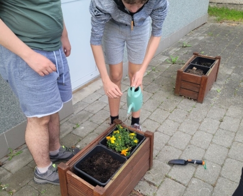 děti ze třídy D osázely truhlíky a vyzkoušely práci s rostlinami