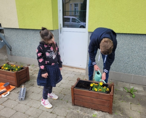 děti ze třídy D osázely truhlíky a vyzkoušely práci s rostlinami