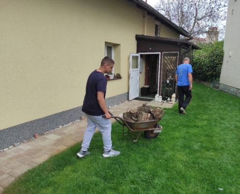 Odvoz dřeva ze školy