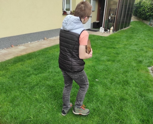 Odvoz dřeva ze školy