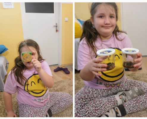 V letošním roce jsme si opět vychovali své motýly