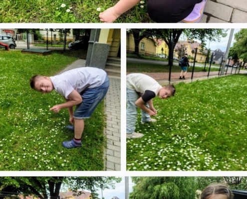 V letošním roce jsme si opět vychovali své motýly