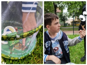 V letošním roce jsme si opět vychovali své motýly
