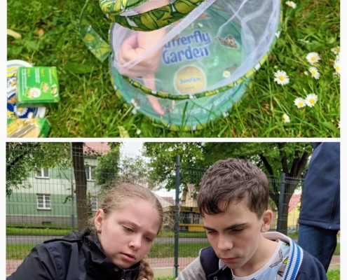 V letošním roce jsme si opět vychovali své motýly