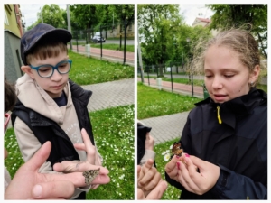 V letošním roce jsme si opět vychovali své motýly