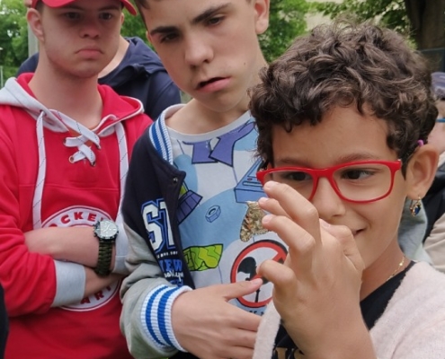 V letošním roce jsme si opět vychovali své motýly
