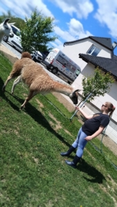 dnes jsme navštívili farmu v Kozlovicích