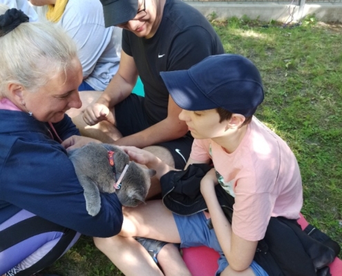 Dnes na zahradě školy proběhl Den zvířat