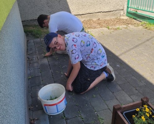 kluci pořádně opřeli a společnýma silami vytrhali plevel na Wolkrovce