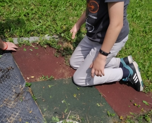 chodníček bylo třeba ho trochu revitalizovat