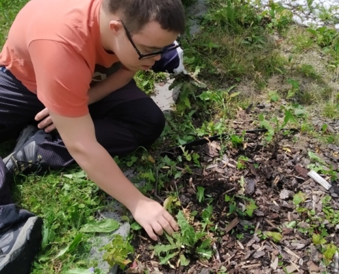 chodníček bylo třeba ho trochu revitalizovat