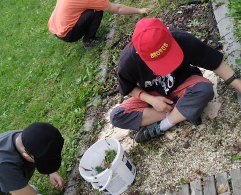 chodníček bylo třeba ho trochu revitalizovat
