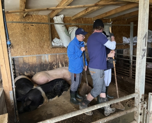 Dnes jsme se třídou E navštívili farmu v Kozlovicích