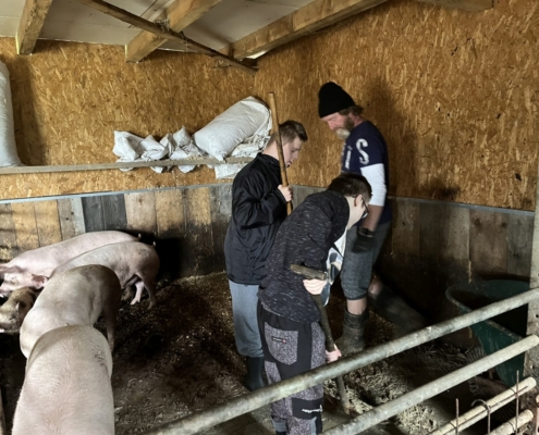 Dnes jsme se třídou E navštívili farmu v Kozlovicích