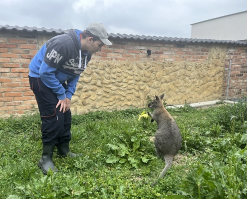 Dnes jsme se třídou E navštívili farmu v Kozlovicích