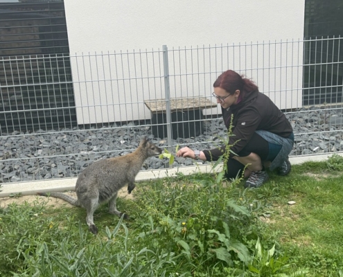 Dnes jsme se třídou E navštívili farmu v Kozlovicích