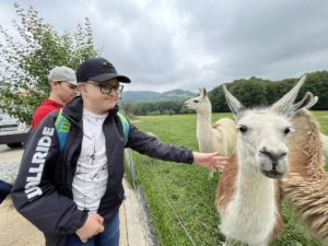 Dnes jsme se třídou E navštívili farmu v Kozlovicích