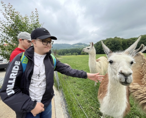 Dnes jsme se třídou E navštívili farmu v Kozlovicích