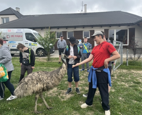 Dnes jsme se třídou E navštívili farmu v Kozlovicích