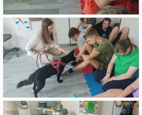 Canisterapie pro třídy B a D