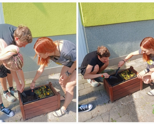 Tak i letos jsme si zasadili naše třídní rajčátka