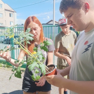 Tak i letos jsme si zasadili naše třídní rajčátka