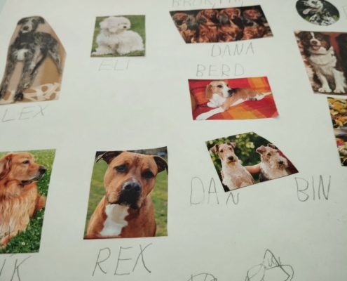 krásné tvoření s Ivonkou a zpívání s kytarou, pexesa, puzzle, vkládáčky, hod na cíl