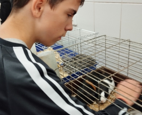 v přírodovědné stanici Korunka
