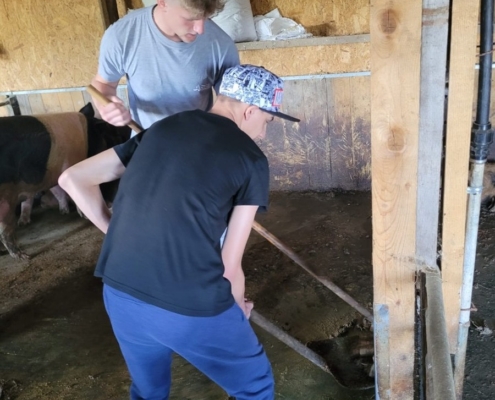 Ve středu jsme navštívili farmu