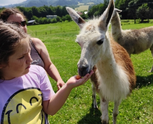Ve středu jsme navštívili farmu