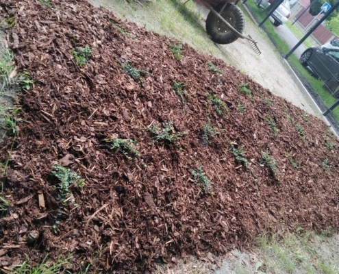 projektu pěstování ve vyvýšených záhonech