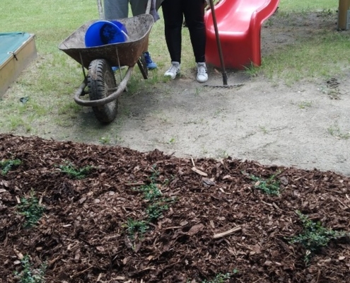 projektu pěstování ve vyvýšených záhonech