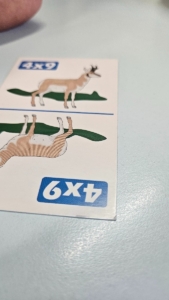 Par fotek z výuky, solná jeskyně a plavání