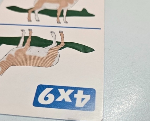 Par fotek z výuky, solná jeskyně a plavání