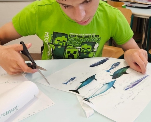 Par fotek z výuky, solná jeskyně a plavání
