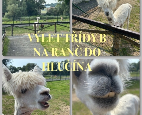 jezdili jsme na koni, krmili zvířátka, prošli jsme si dětské hřiště