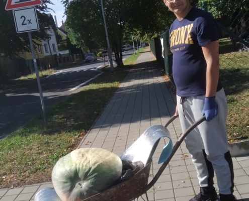 Nastal ten den, den sklizně našich dýní
