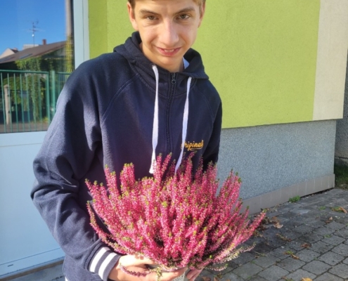 děti sadili vřesy na Wolkrovce