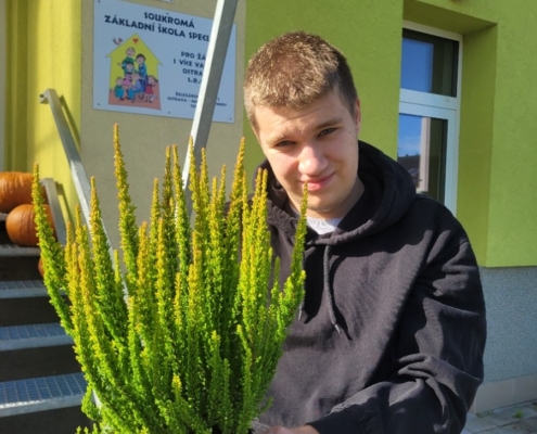 děti sadili vřesy na Wolkrovce