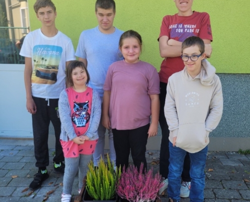 děti sadili vřesy na Wolkrovce