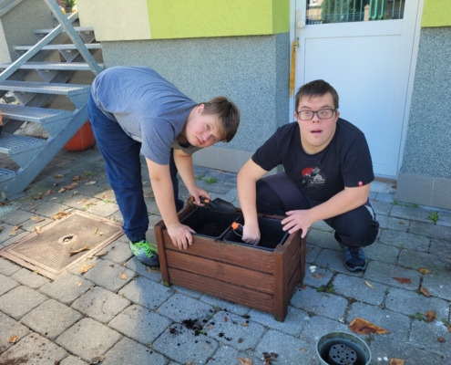 děti sadili vřesy na Wolkrovce