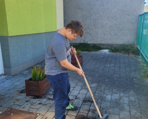 děti sadili vřesy na Wolkrovce