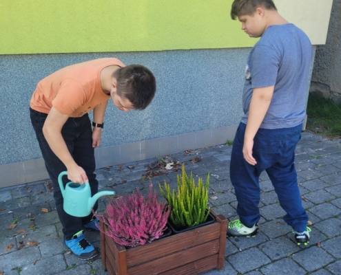 děti sadili vřesy na Wolkrovce