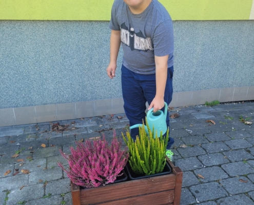 děti sadili vřesy na Wolkrovce