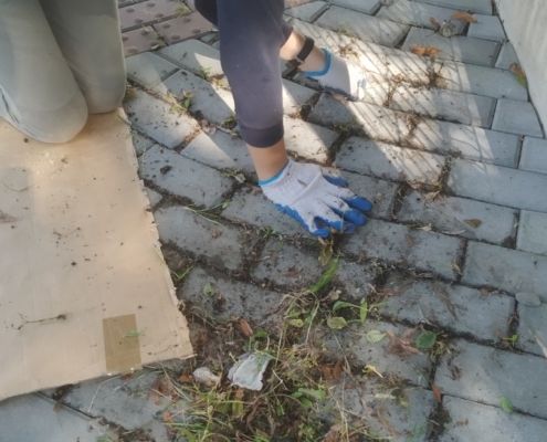 Tento týden jsme udělali spoustu práce