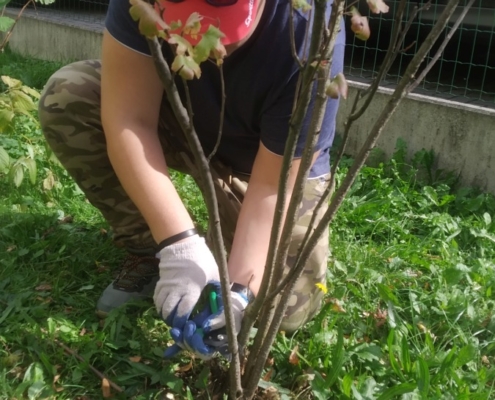 Tento týden jsme udělali spoustu práce