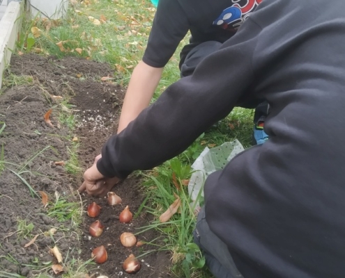Tento týden jsme udělali spoustu práce