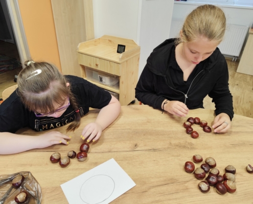 pár fotek našich činností v předmětu pracovní činnosti